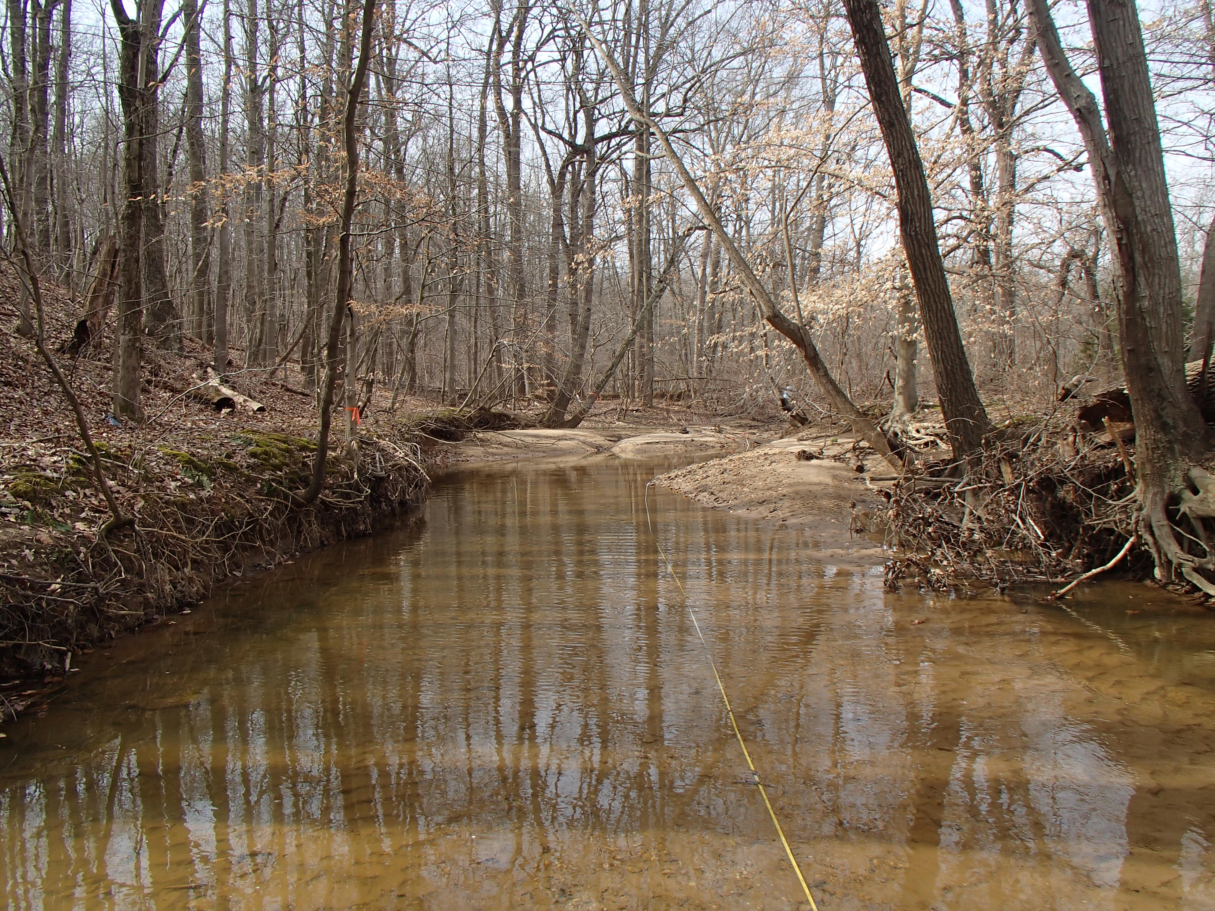 Field photo showing stream conditions at site BIRD-107-R-2016_midpoint upstream
